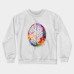 Human Brain Watercolor Anatomy Crewneck Sweatshirt